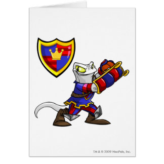 Capitaine 1 d'équipe de Meridell