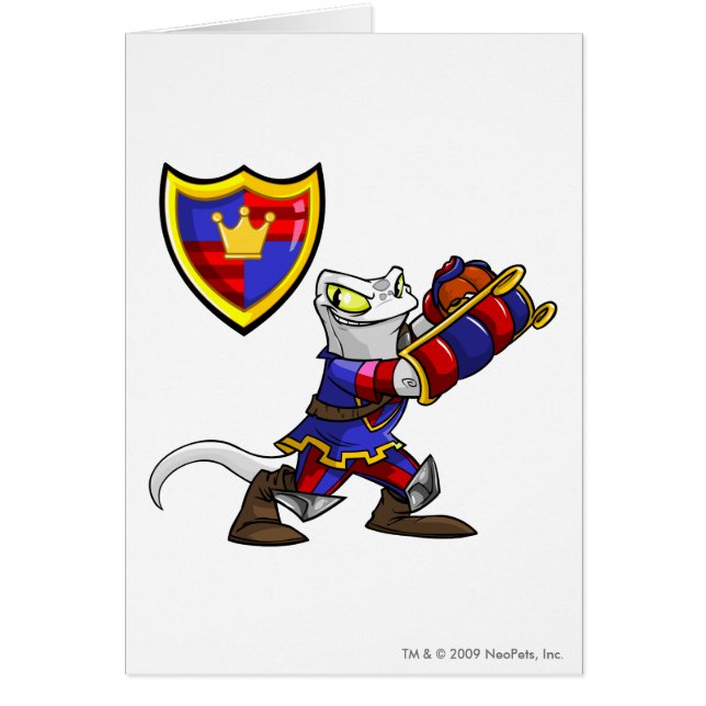 Capitaine 1 d'équipe de Meridell (Devant)