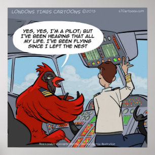 Capitaine Byrd Cardinal Pilot Vol Jet Poster amusa