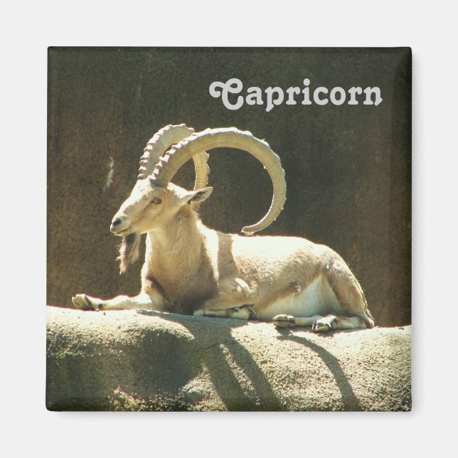 Capricorn Magnet ! (Devant)