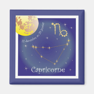Capricorne 22 décembre 20 janvier Aimant