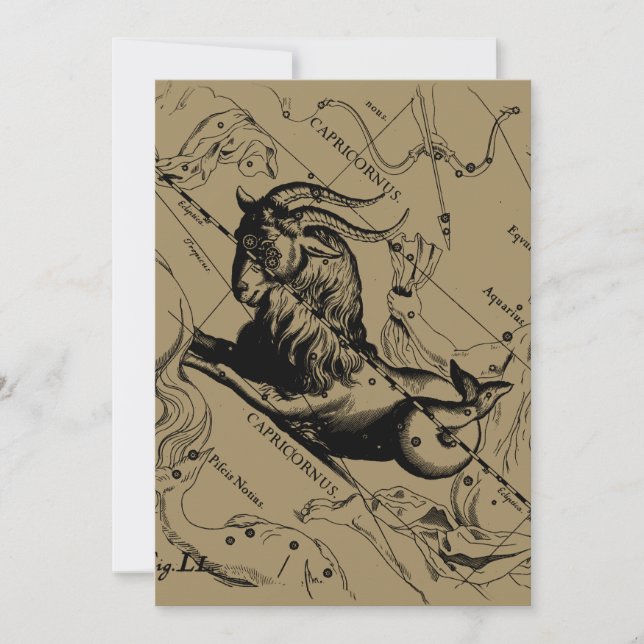 Capricorne Constellation Hevelius 1690 sur Taupe (Devant)