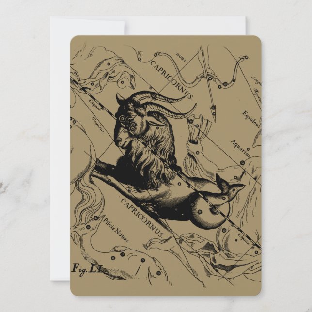 Capricorne Constellation Hevelius 1690 sur Taupe (Devant)