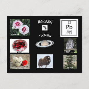Capricorne Janvier Mois de naissance Carte postale