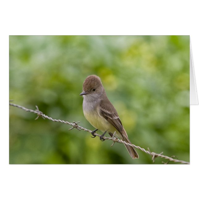 Capteur (Devant Horizontal)