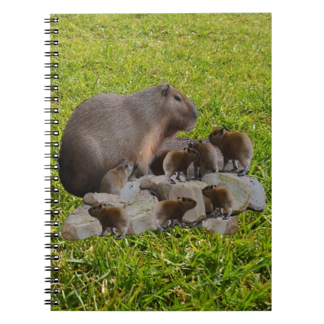 Capybara Maman Avec Bébés, Carnet (Devant)