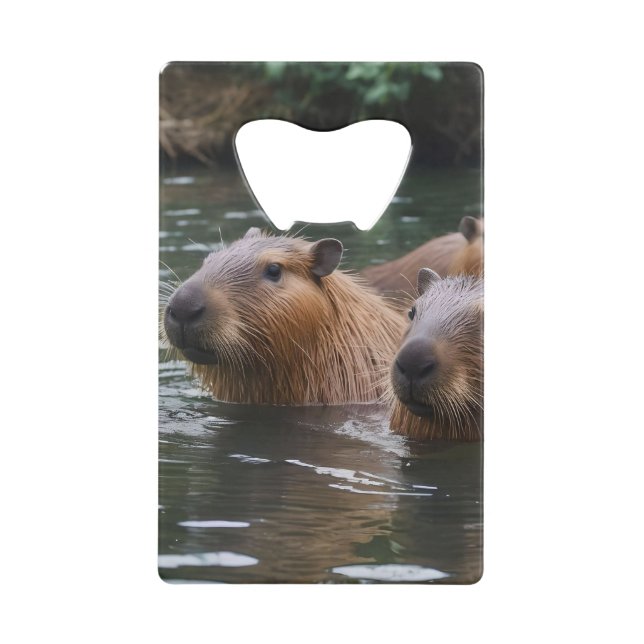 Capybaras' Swimming In The River,  (Devant)
