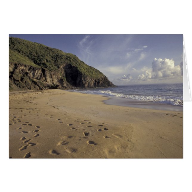 Caraïbes, St. Kitts. Empreintes sur l'Atlantique (Devant horizontal)