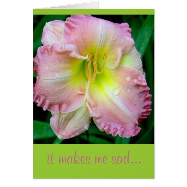 CARD, "Ça me rend triste", fleur, (photo) avec rai (Devant)