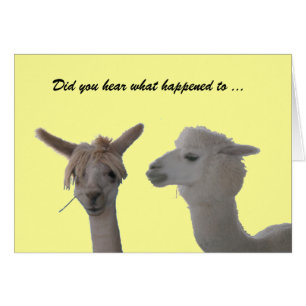 Card - Did you hear ... Event