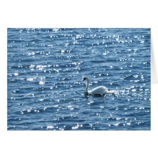 Cardiff Bay, Cardiff, Pays de Galles (Devant horizontal)