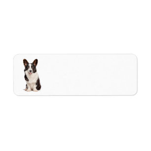 Cardigan Welsh Corgi Adresse de retour Étiquettes