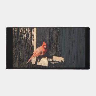 Cardinal