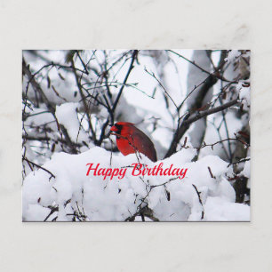 Cardinal 6216 Carte postale Anniversaire