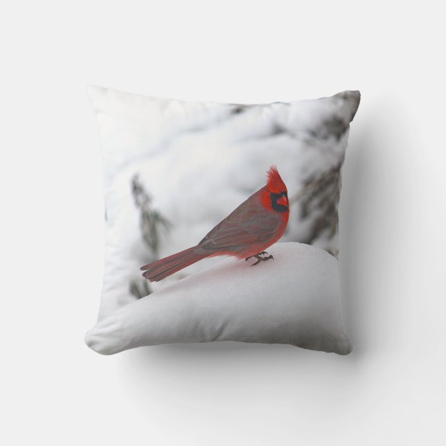 Cardinal 6241 Coussin (Recto)