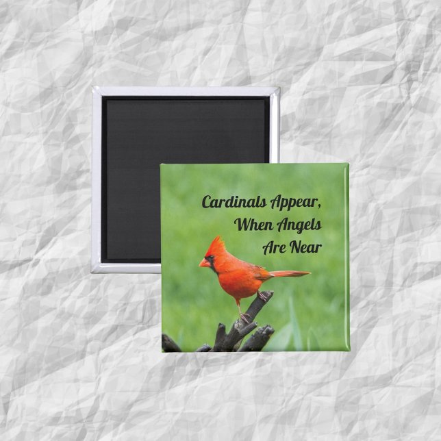 Cardinal Apparaît Angels Près De La Décor À Aimant (Créateur téléchargé)