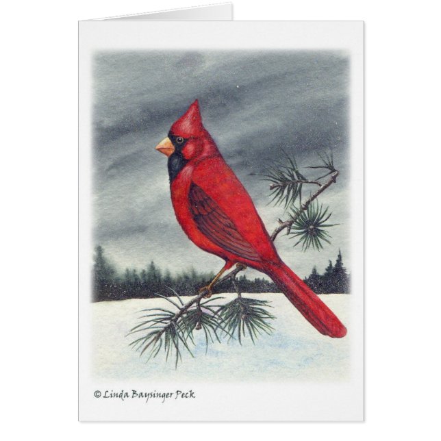 Cardinal Bird (Devant)