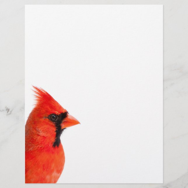 Cardinal Bird (Devant)