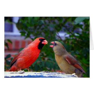 Cardinal Couple Eating