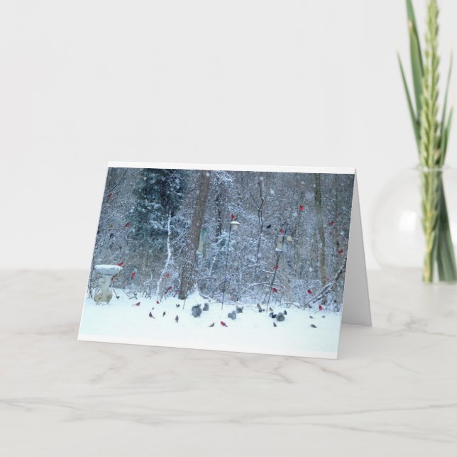 Cardinal dans la carte de voeux de neige (Devant)