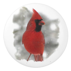 Cardinal dans le bouton en céramique de neige
