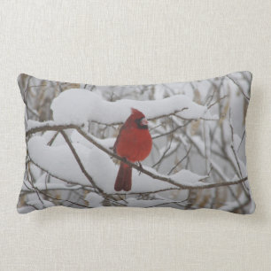 Cardinal dans le coussin de neige d'hiver