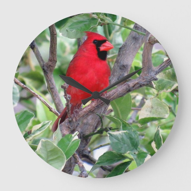 Cardinal dans un citronnier - Jardin Horloge d'ois (Recto)