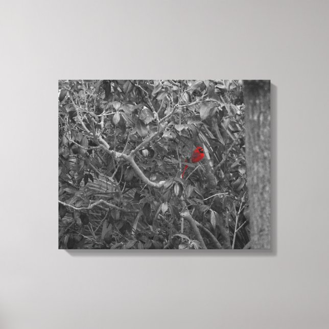 Cardinal dans une toile étirée d'arbre (Recto)