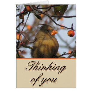 Cardinal d'automne