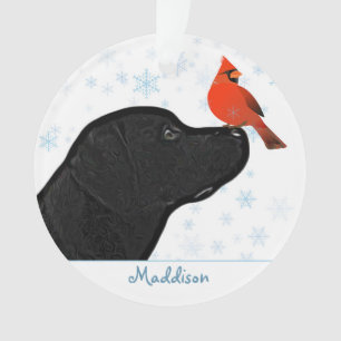 Cardinal de Noël du Labrador noir - Chien mignon