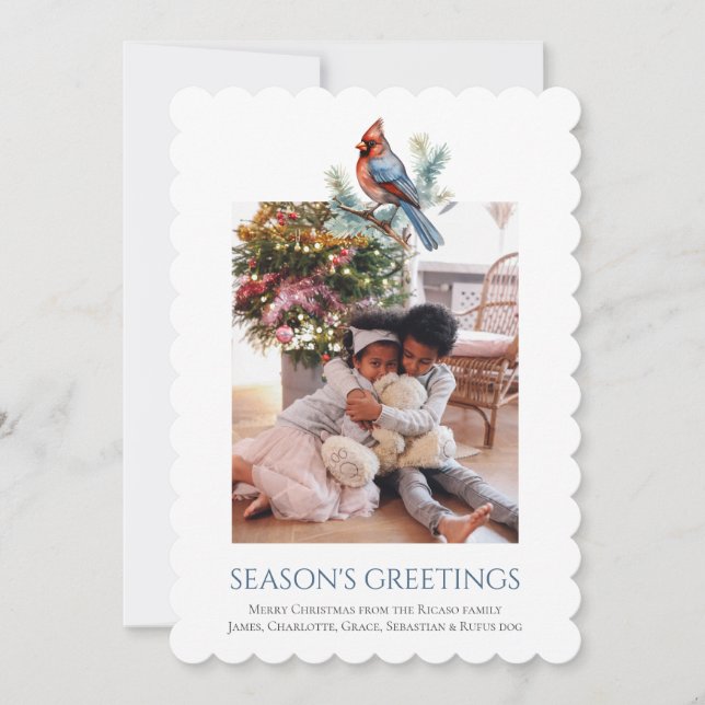 Cardinal de Noël Modèle photo d'oiseaux (Devant)