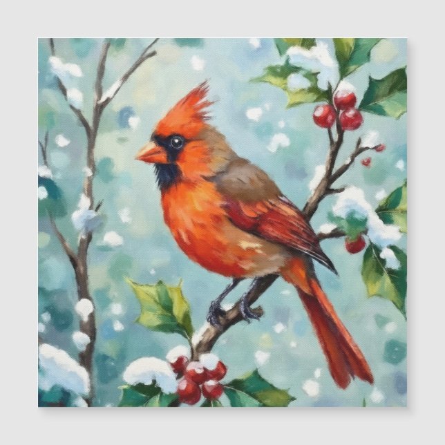 Cardinal de Noël sur une branche de houx (Devant)