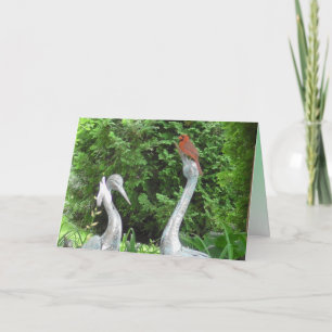Cardinal debout sur Pelicans Carte vierge
