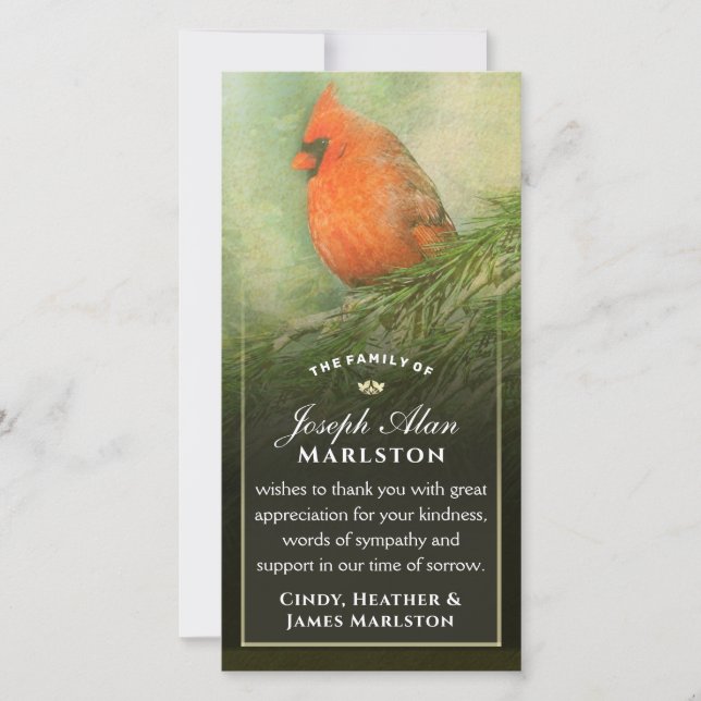 Cardinal en épinette 4x8 Carte de remerciements de (Devant)