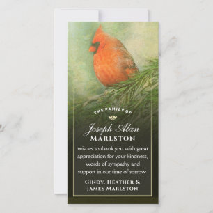 Cardinal en épinette 4x8 Carte de remerciements de