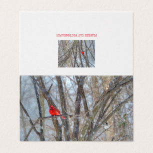 Cardinal et carte de voeux pour le poulet