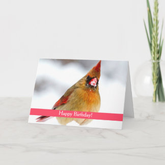 Cardinal Femme Carte d'anniversaire personnalisée