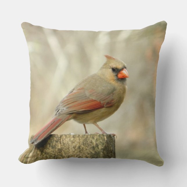 Cardinal (Femme) sur le Coussin postal (Recto)