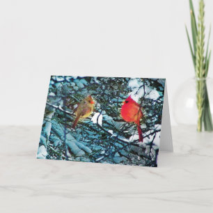 Cardinal hiver amour, cartes
