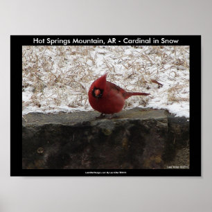 Cardinal Hot Springs Nat. Poster du Parc Mountain 