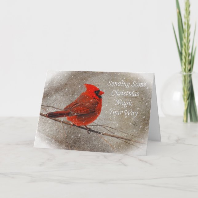 Cardinal Magique De Noël En Carte De Neige (Devant)