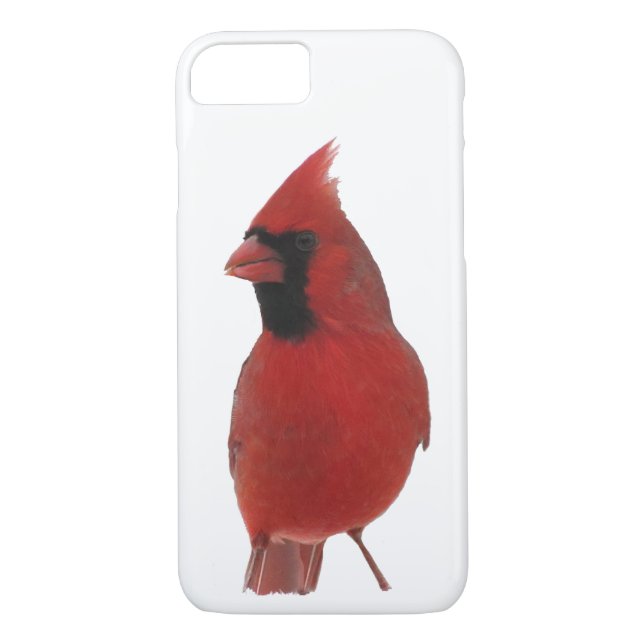 Cardinal Nord iPhone 8/7 Coque (Dos)