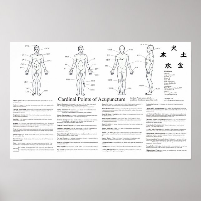 Cardinal Points of Acupuncture Poster (Devant)