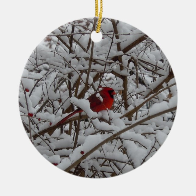 Cardinal rouge dans un ornement d'arbre rempli de  (Devant)
