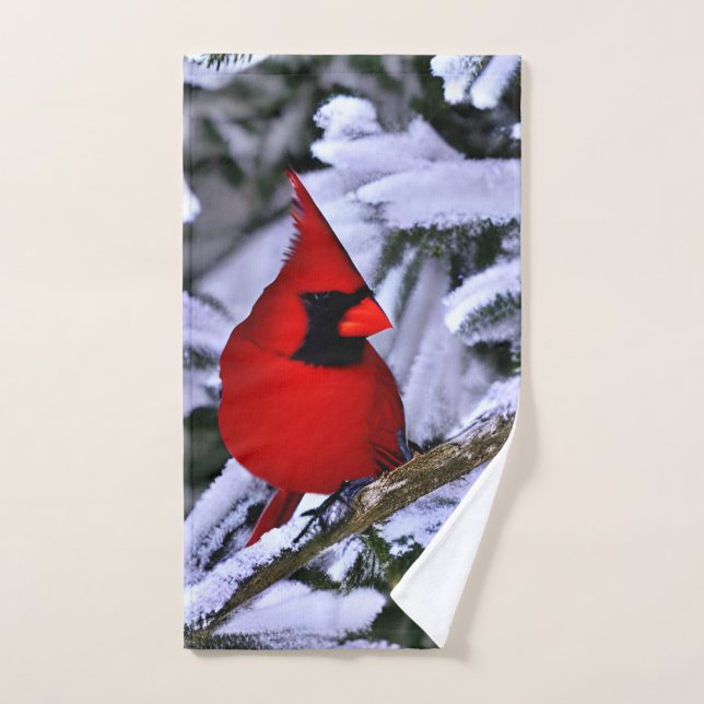 Cardinal rouge d'hiver (Serviette à main)