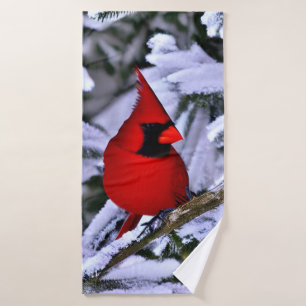 Cardinal rouge d'hiver