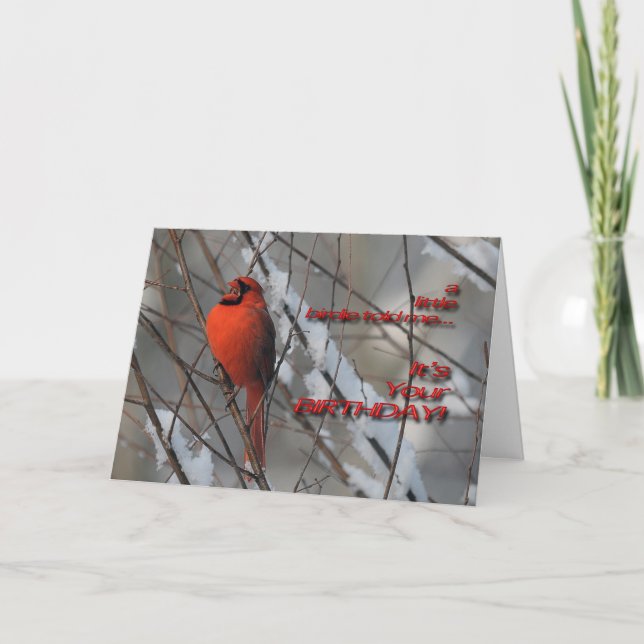 Cardinal Rouge En Neige - Carte Anniversaire (Devant)