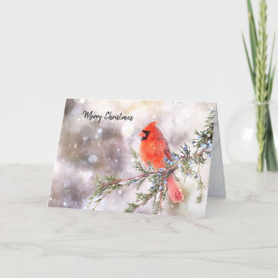 Cardinal Rouge Noël Carte de vacances pliée