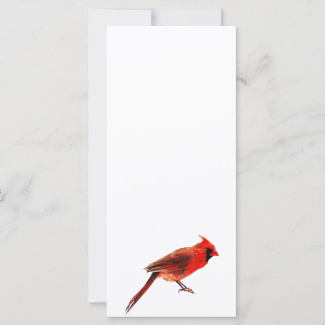 Cardinal(s) (Devant)