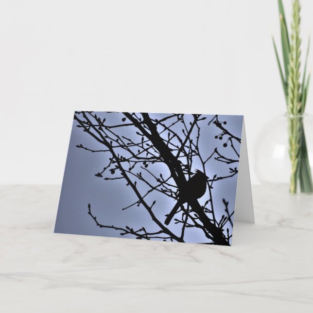 Cardinal Silhouette, carte (Devant)